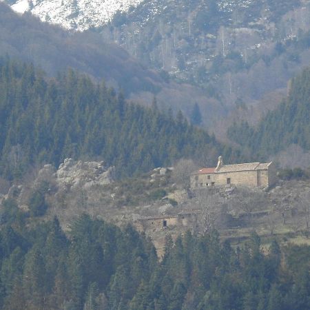 Location Mas Avec Piscine Haut Vallespir Villa Le Tech Exterior photo