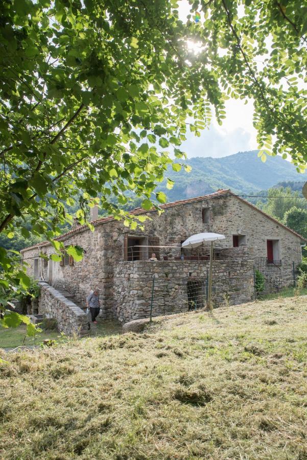 Location Mas Avec Piscine Haut Vallespir Villa Le Tech Exterior photo