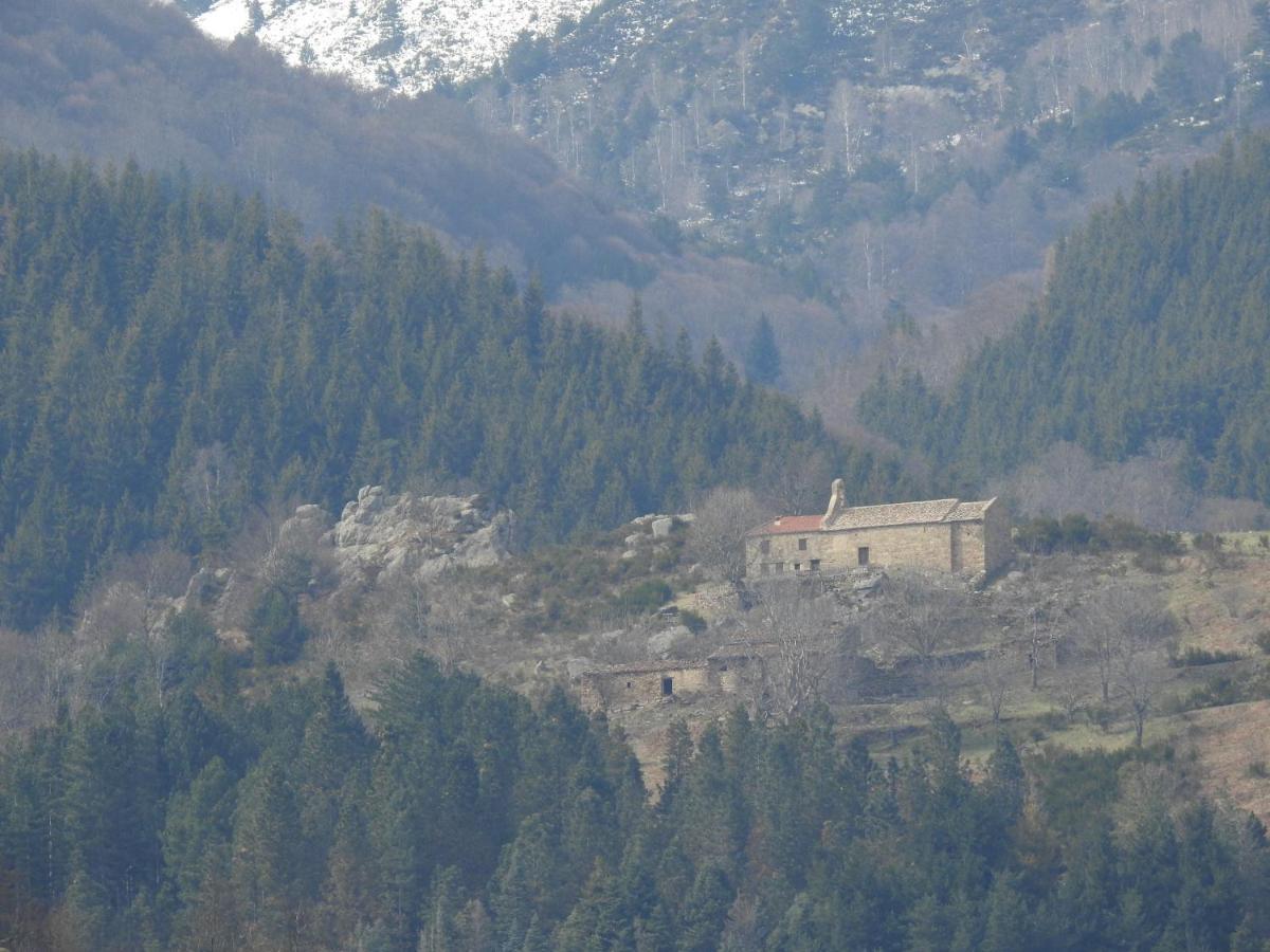 Location Mas Avec Piscine Haut Vallespir Villa Le Tech Exterior photo